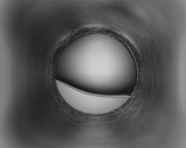 X0000094420967200711080955