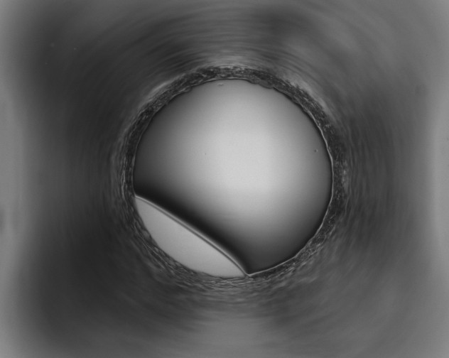 X0000094420968200711080955