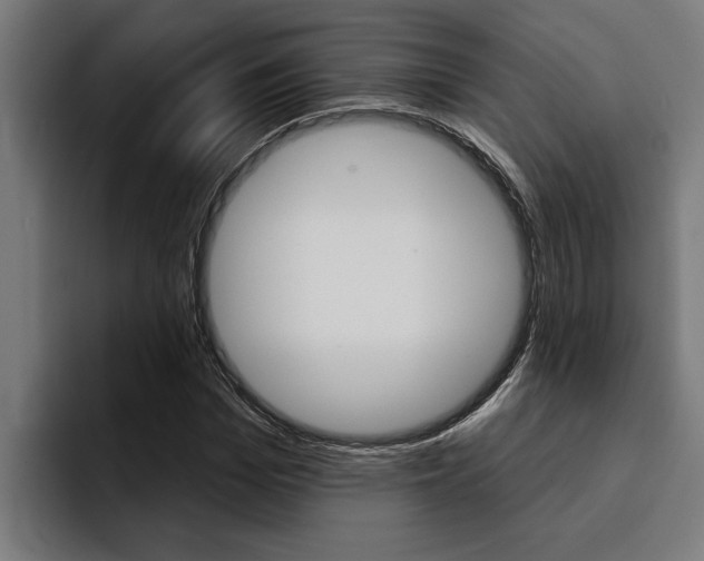 X0000094420969200711080955