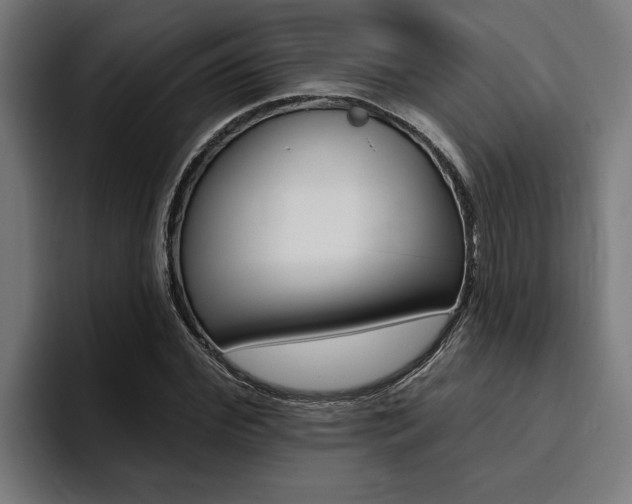 X0000094420972200711080955