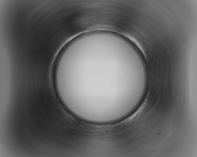 X0000094420973200711080955