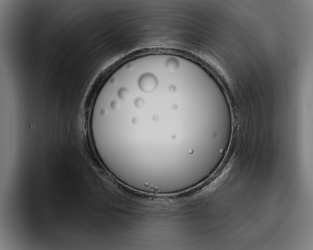 X0000094420974200711080955
