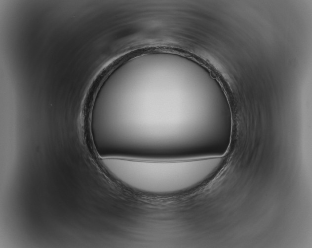 X0000094420975200711080955