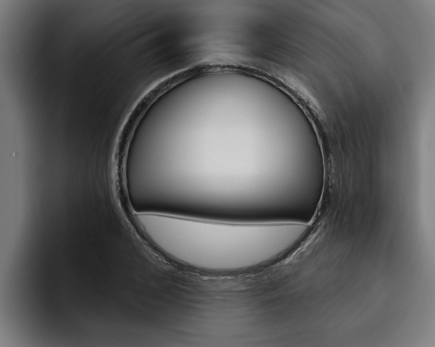 X0000094420976200711080955
