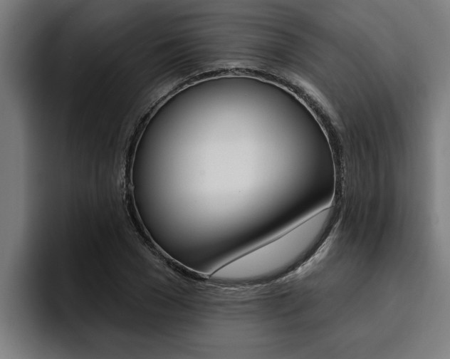 X0000094420977200711080955