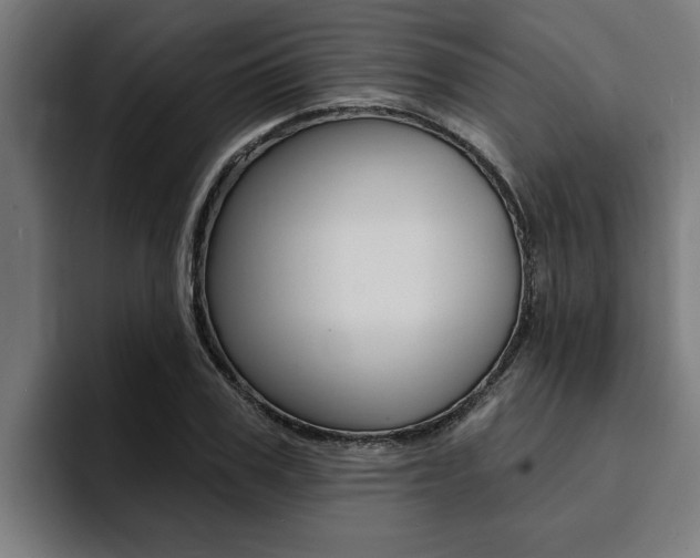 X0000094420979200711080955