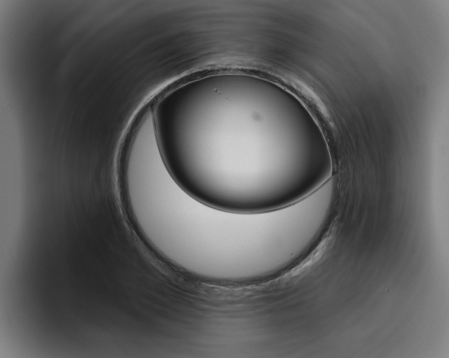 X0000094420981200711080955