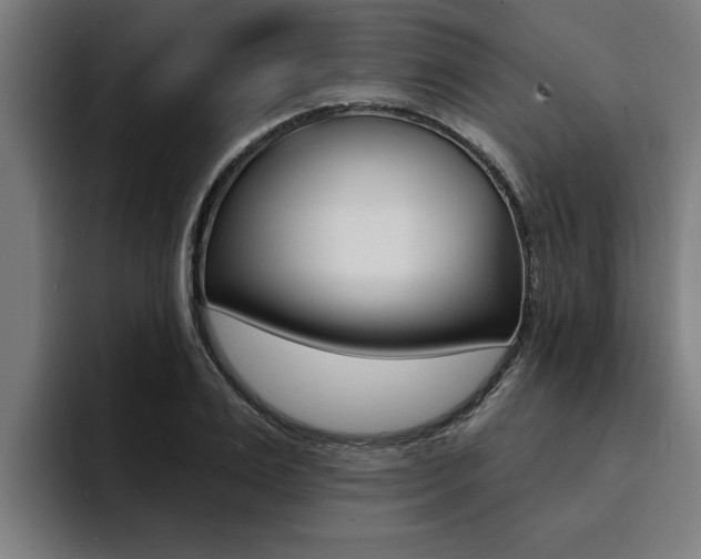 X0000094420983200711080955