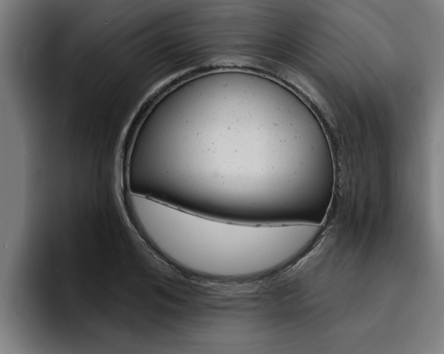 X0000094420984200711080955