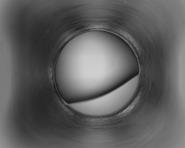 X0000094420985200711080955