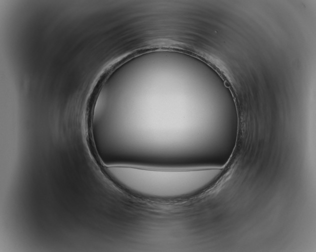 X0000094420987200711080955