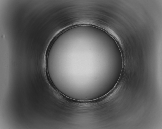 X0000094420988200711080955