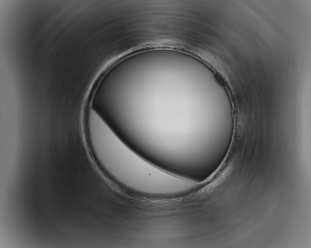 X0000094420989200711080955