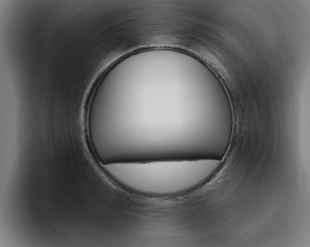 X0000094420990200711080955