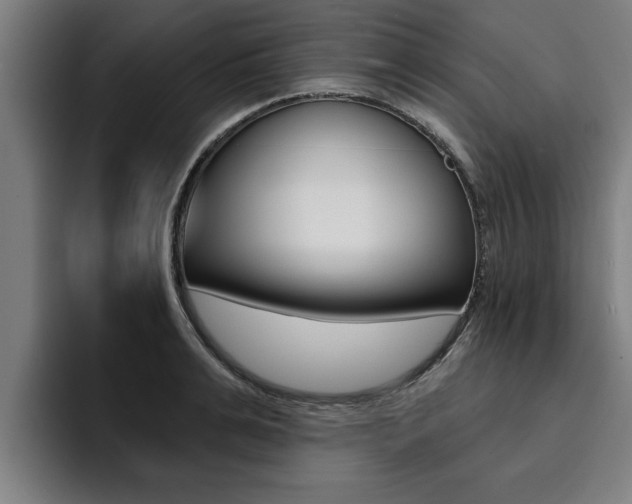 X0000094420991200711080955
