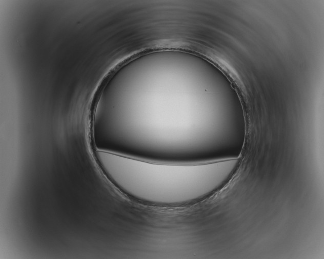 X0000094420992200711080955