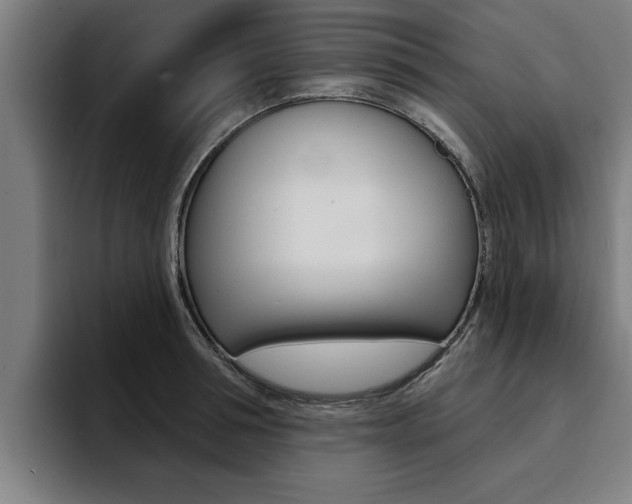 X0000094420994200711080955