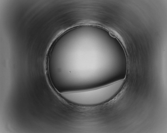 X0000094420997200711080955