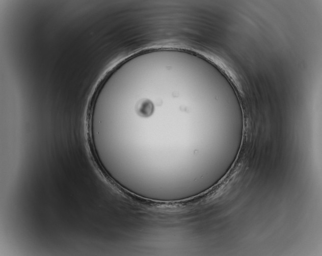 X0000094420998200711080955