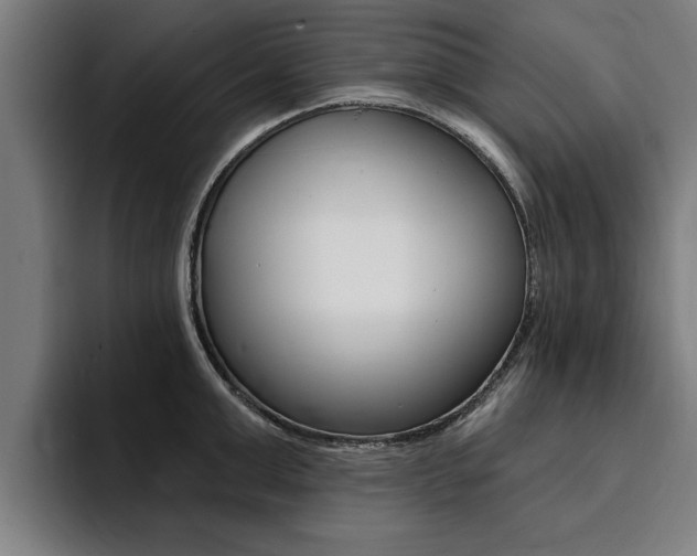 X0000094420999200711080955