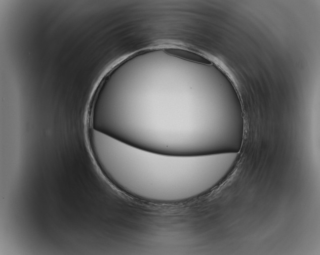 X0000094421003200711080955