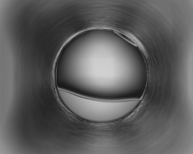 X0000094421004200711080955