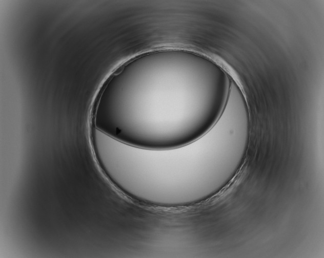 X0000094421005200711080955