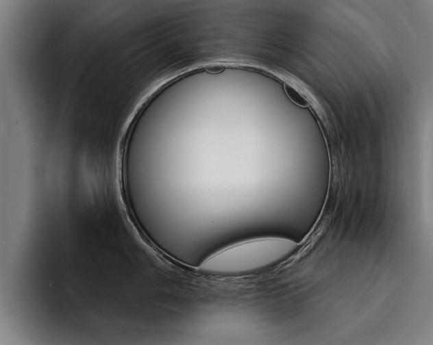X0000094421006200711080955