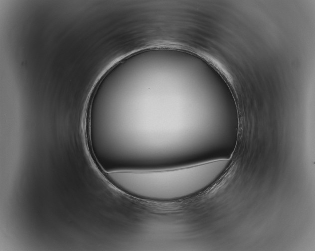 X0000094421007200711080955