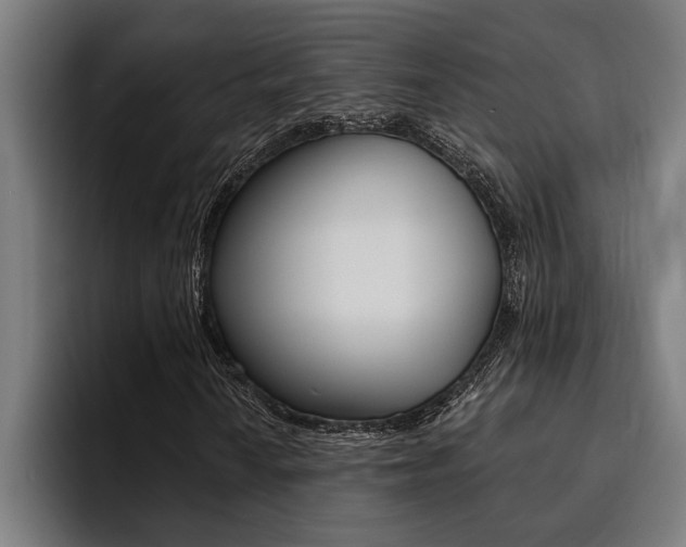 X0000094421010200711080954