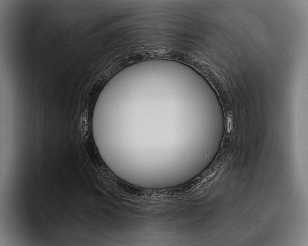 X0000094421011200711080954