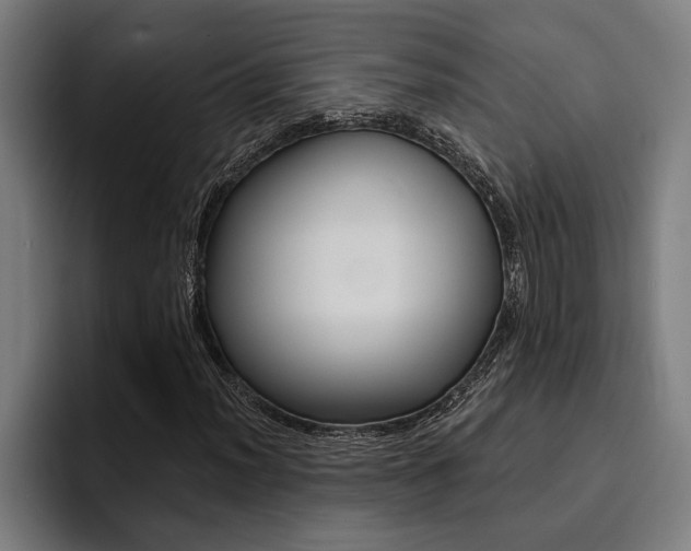 X0000094421012200711080954