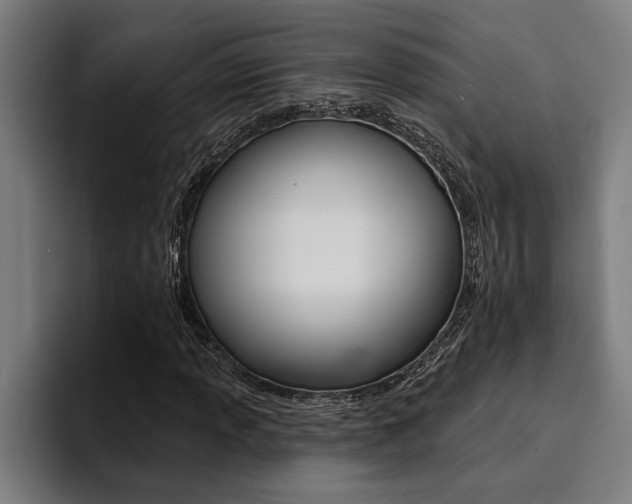X0000094421013200711080954