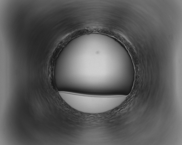X0000094421016200711080954