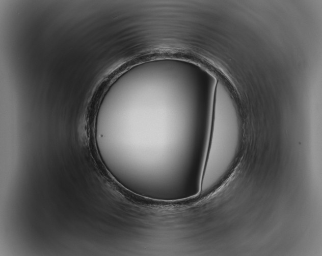 X0000094421018200711080954