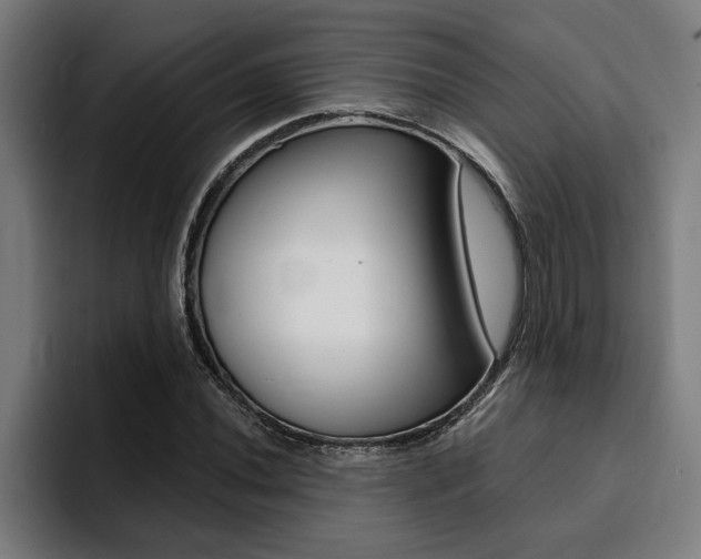 X0000094421020200711080954