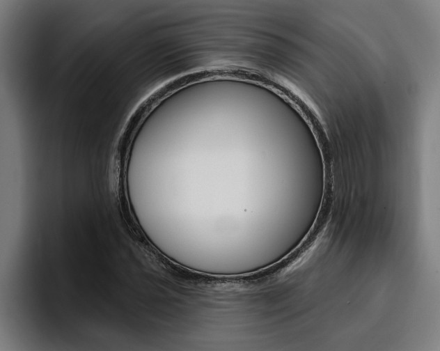 X0000094421021200711080954