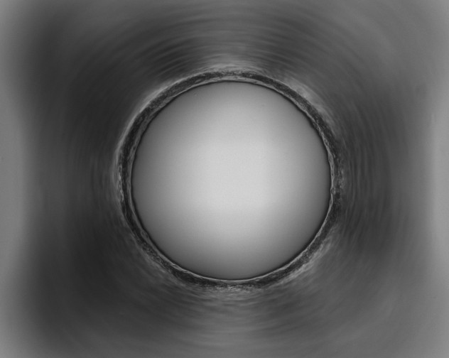 X0000094421022200711080954