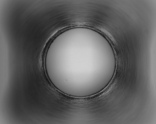 X0000094421023200711080954