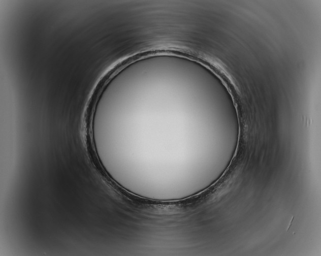 X0000094421024200711080954