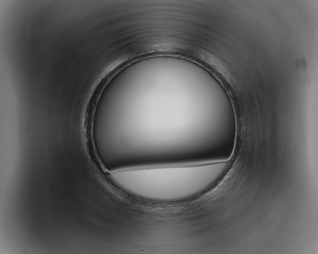 X0000094421026200711080954