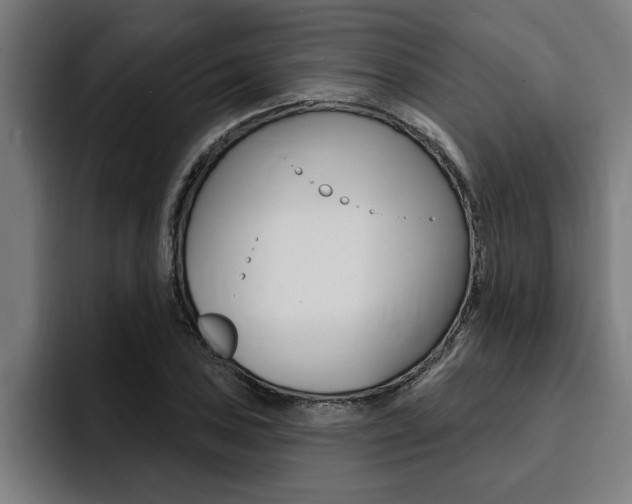 X0000094421027200711080954
