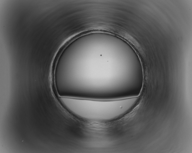 X0000094421028200711080954