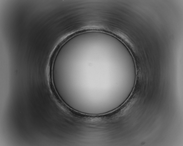 X0000094421030200711080954