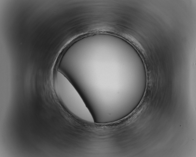 X0000094421031200711080954