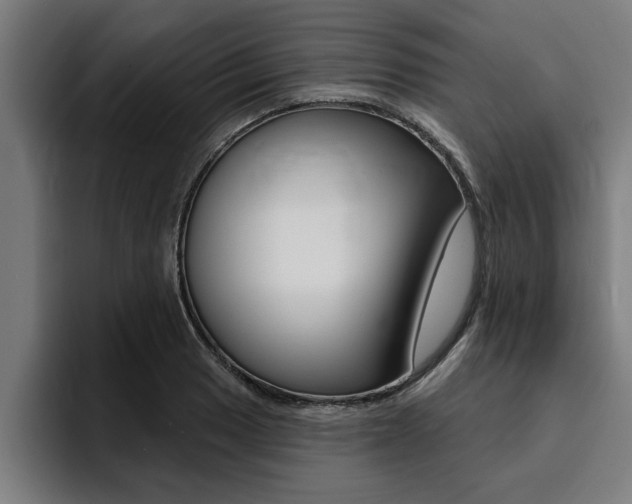 X0000094421033200711080954