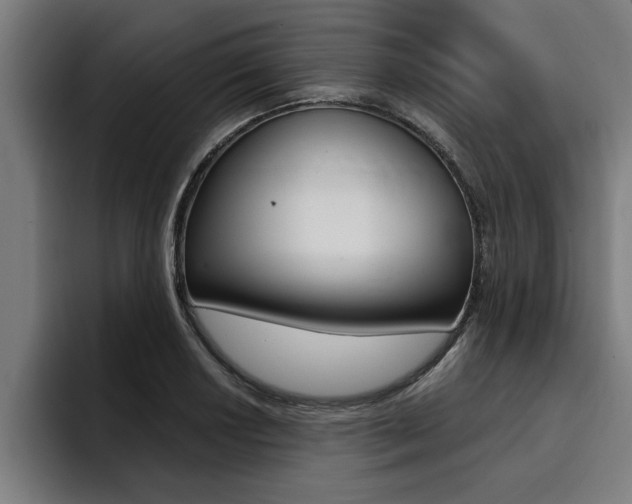 X0000094421034200711080954