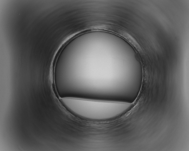 X0000094421036200711080955