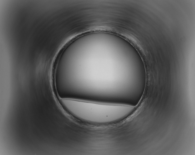 X0000094421038200711080955