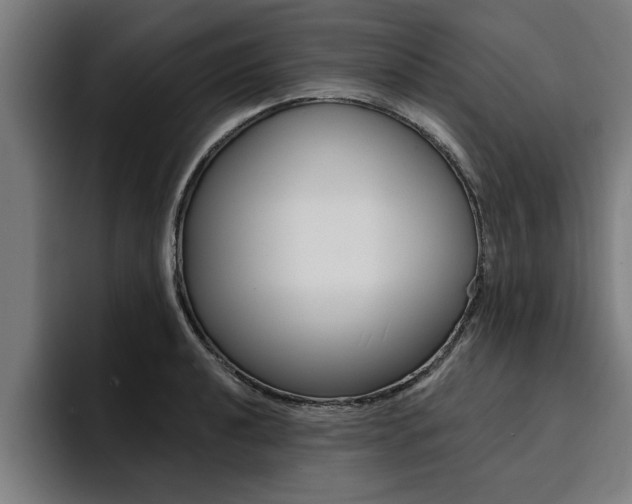 X0000094421040200711080955